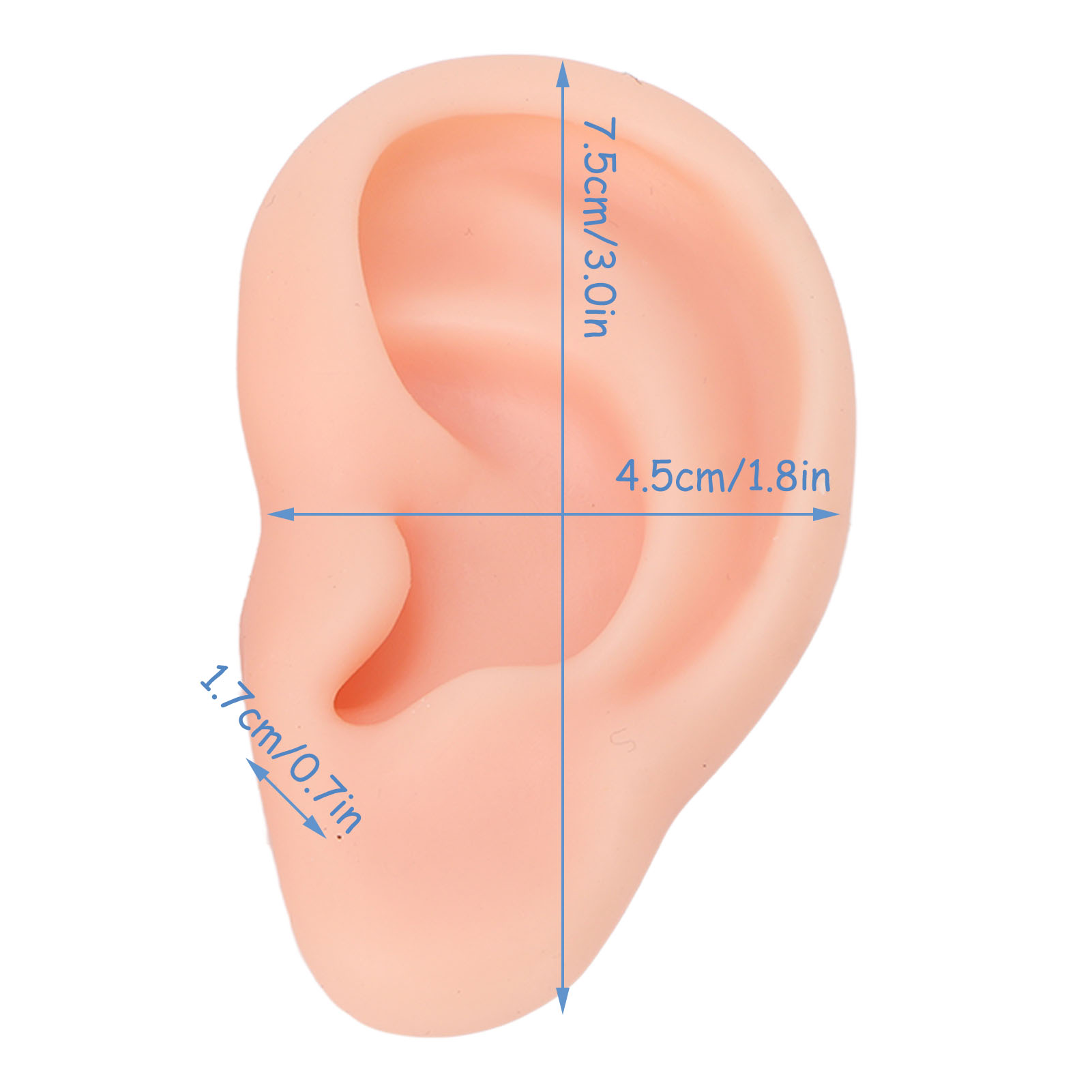Silicone Human Ear Model 1 Pai - Body Jewelry Display recensione e prezzo